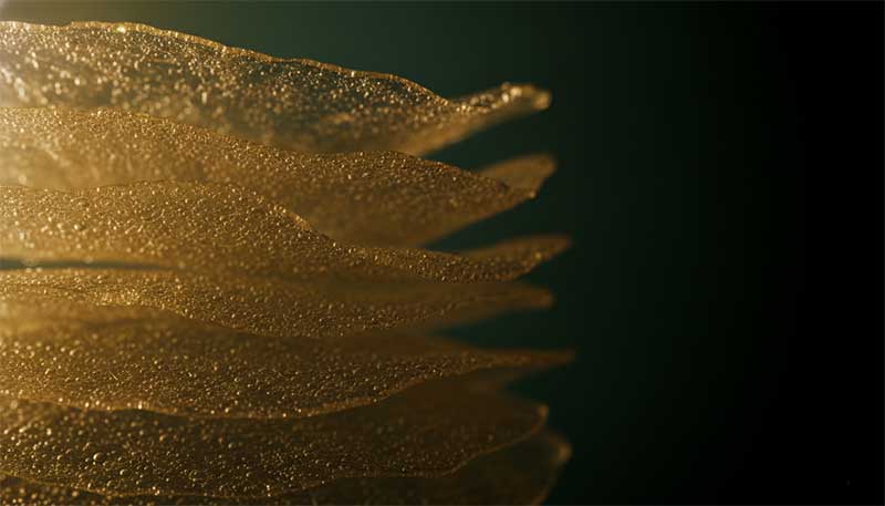 Layered protective tissue representing the gut's mucus barrier