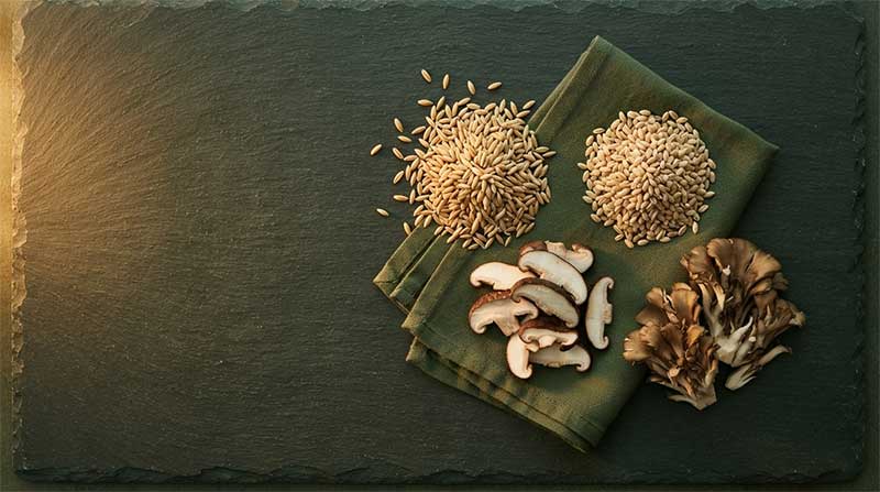 Whole oats, barley grains, and sliced shiitake and maitake mushrooms on a dark slate surface