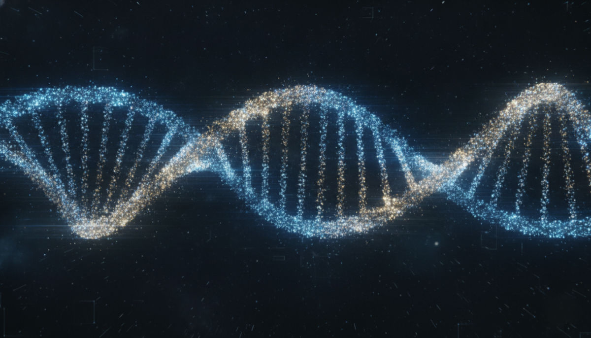 DNA double helix - zinc supports DNA repair and replication