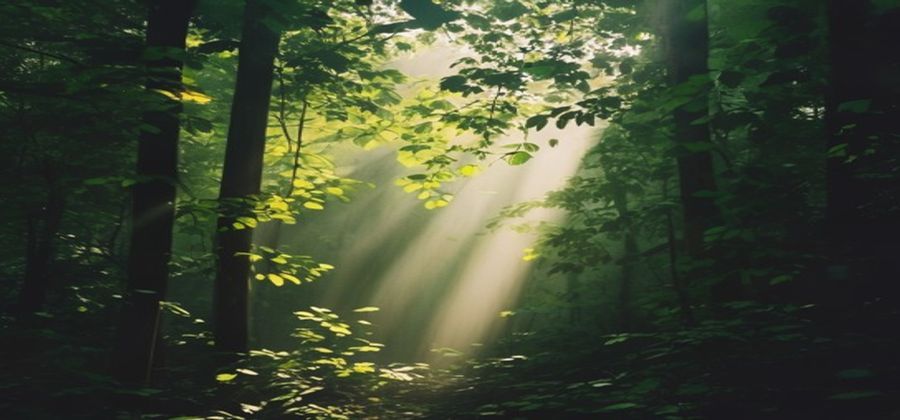 Sunlight vitamin D synthesis - the natural source most people miss