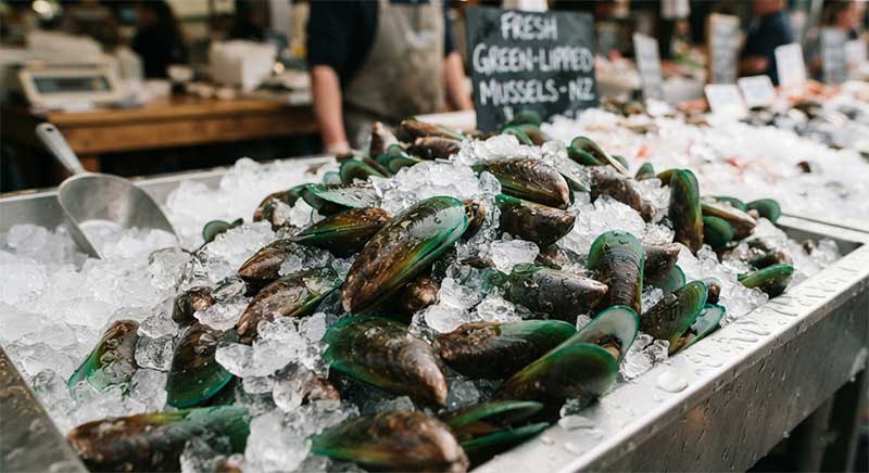 Glucosamine vs Green-Lipped Mussel
