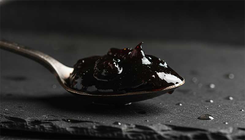 Shilajit resin