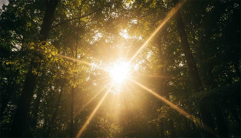 Vitamin D3