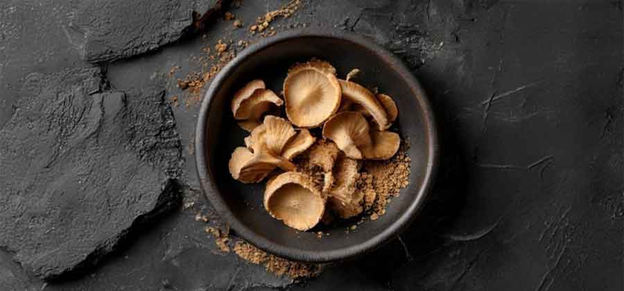 Dried Lion's Mane mushroom - the source of hericenones and erinacines