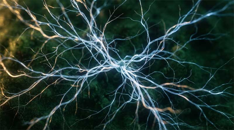 Light filaments representing magnesium's role in nervous system signaling