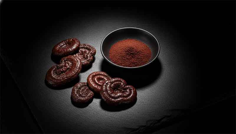 Dried reishi mushroom slices and powder in ceramic bowl